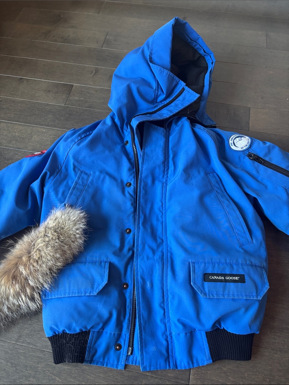 Canada Goose Polar Bears International Chilliwack Bomber Jacket - Boys' M 10-12